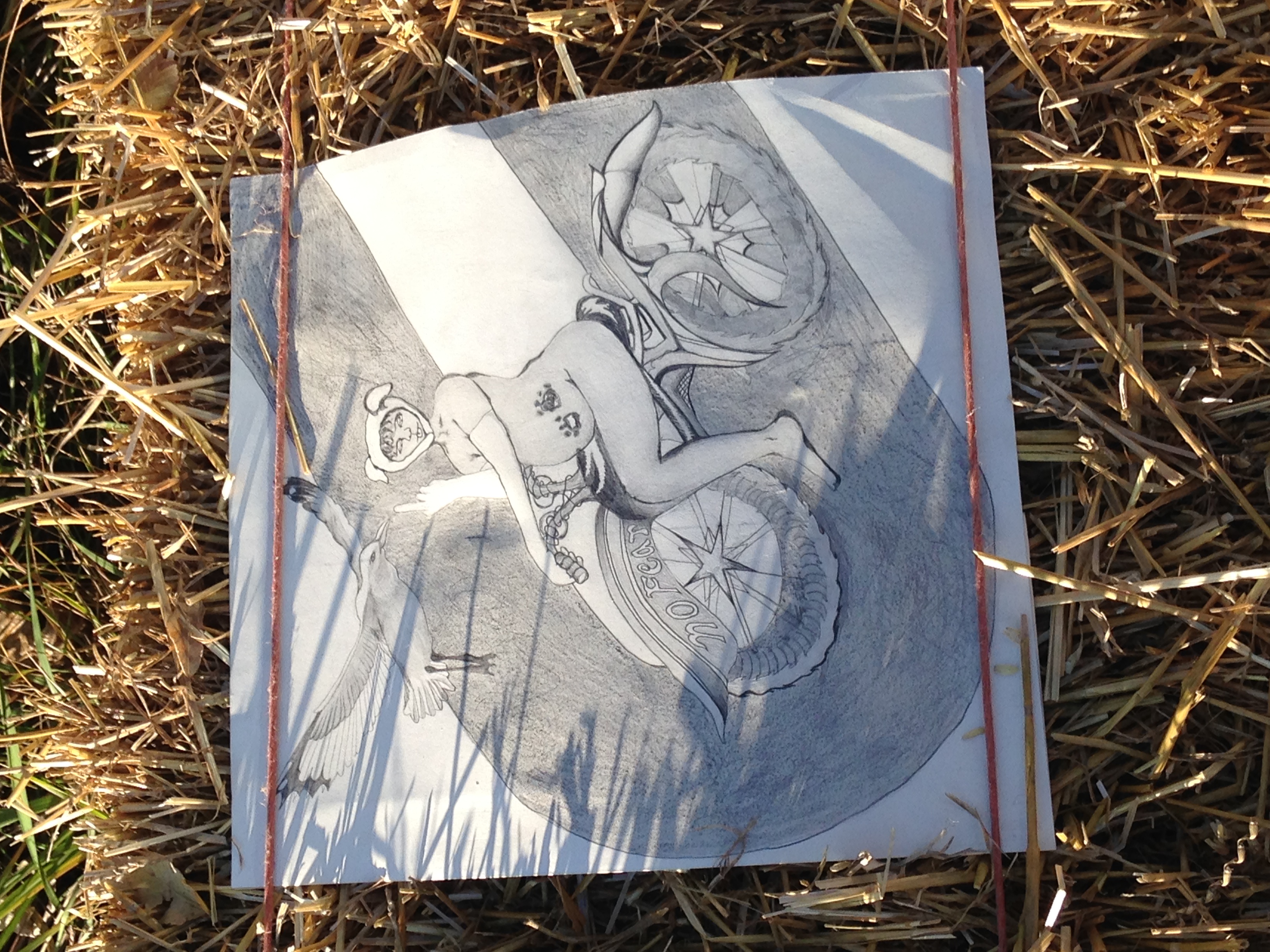 ISawSomethingInTheFields.LydiaKuzak,